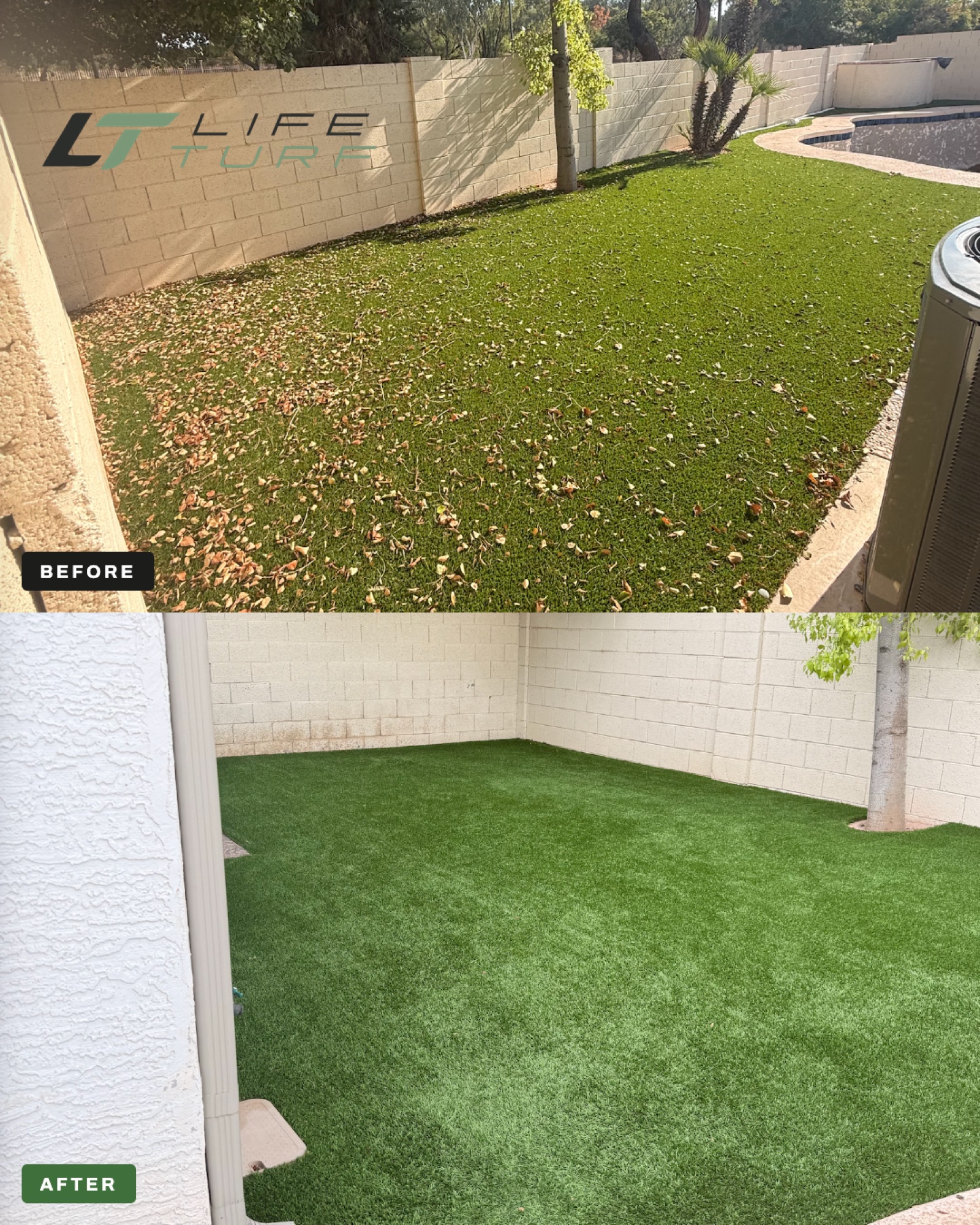 Artificial turf cleaning before and after by Life Turf in Gilbert, AZ