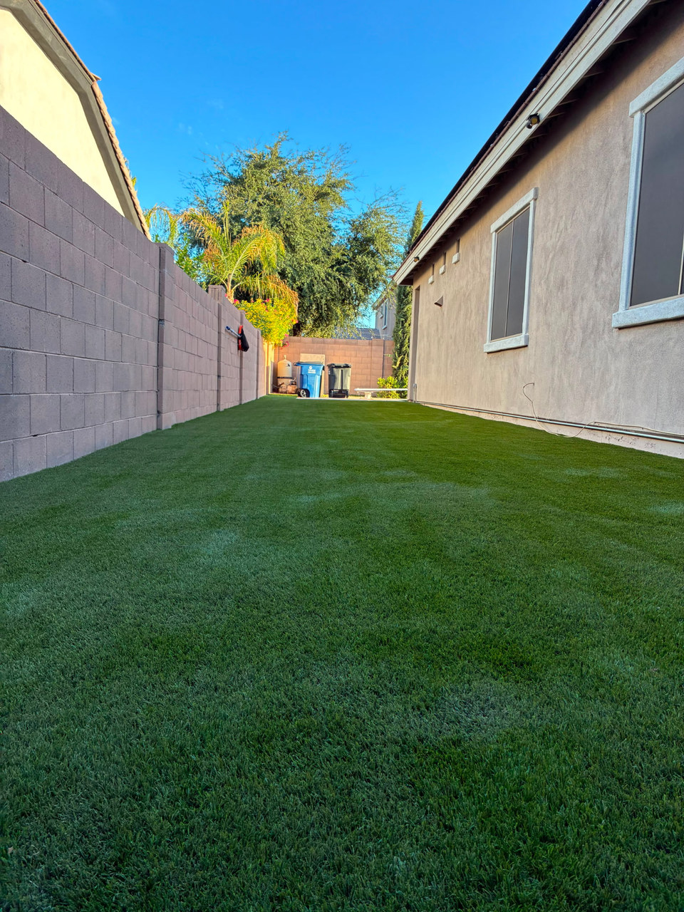 Finished artificial turf side yard installed by Life Turf in the East Valley, AZ